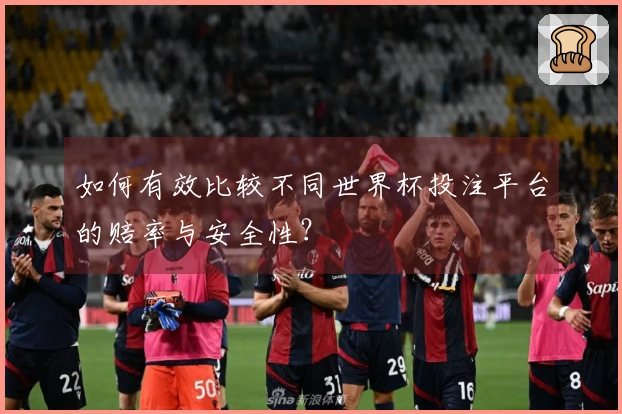 如何有效比较不同世界杯投注平台的赔率与安全性?