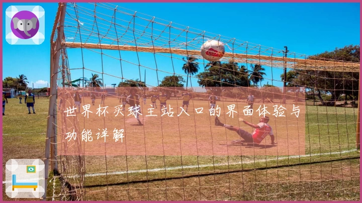 世界杯买球主站入口的界面体验与功能详解