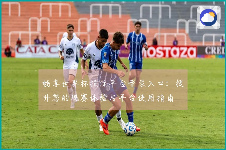 畅享世界杯投注平台登录入口：提升您的观赛体验与平台使用指南