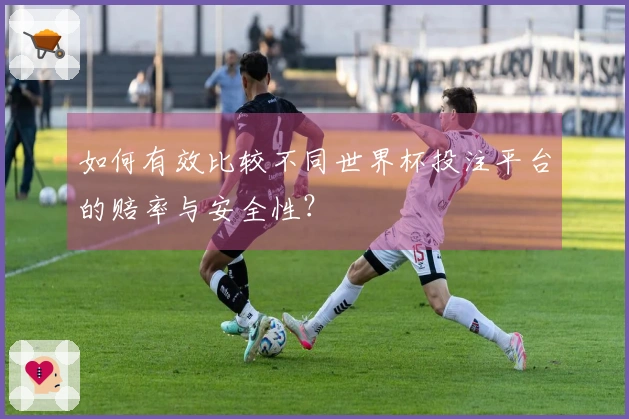 如何有效比较不同世界杯投注平台的赔率与安全性？