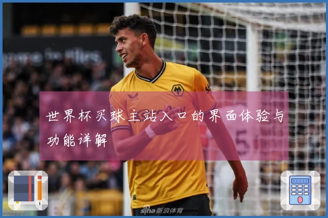 世界杯买球主站入口的界面体验与功能详解