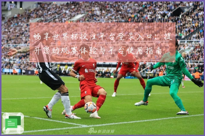 畅享世界杯投注平台登录入口：提升您的观赛体验与平台使用指南