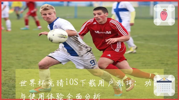 世界杯竞猜iOS下载用户测评：功能与使用体验全面分析