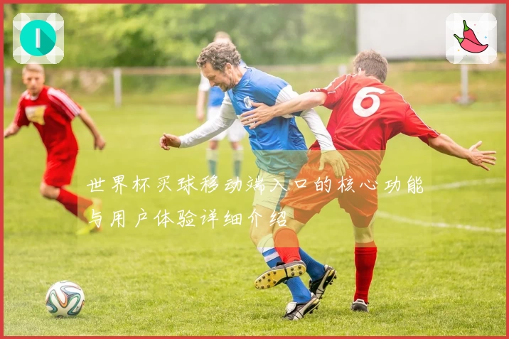 世界杯买球移动端入口的核心功能与用户体验详细介绍