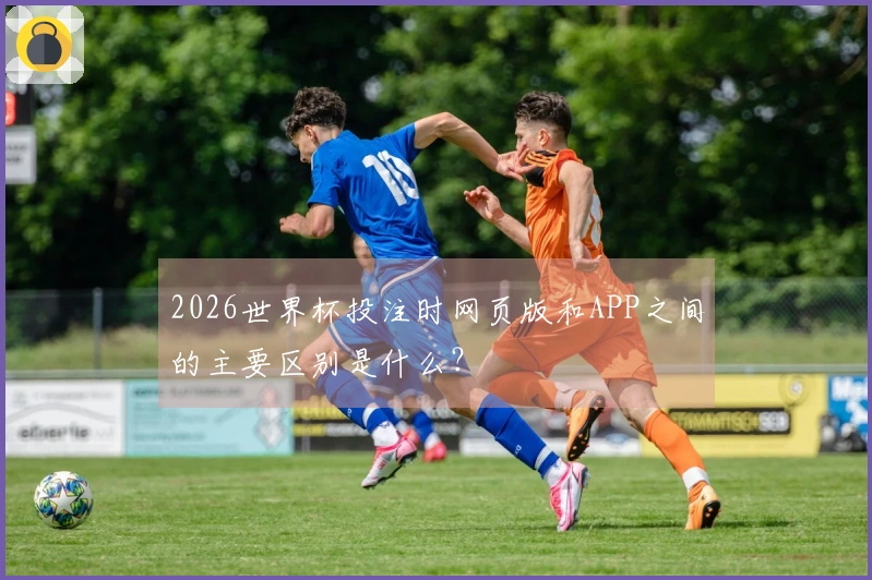 2026世界杯投注时网页版和APP之间的主要区别是什么？
