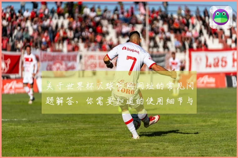 关于世界杯买球官网网址的常见问题解答，你需要知道的使用细节与功能介绍