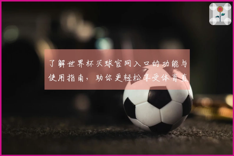 了解世界杯买球官网入口的功能与使用指南，助你更轻松享受体育直播体验
